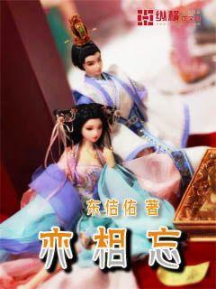 幻想纹章3.3