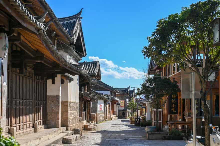 猫咪换环境导致应激怎么安抚？游戏画面